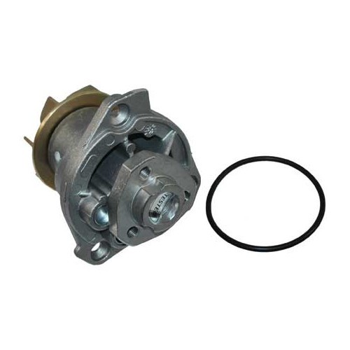 	
				
				
	Water pump for Golf 4 V6 2.8 and 3.2 - GC55454
