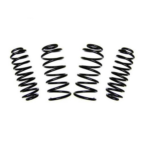 	
				
				
	EIBACH short springs for Golf 4 TDi, GTi  - GJ53700
